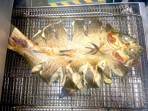 Grilled fish cooked in a conveyor roast fish oven