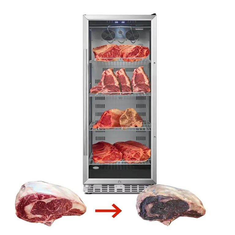single door dry age meat fridge