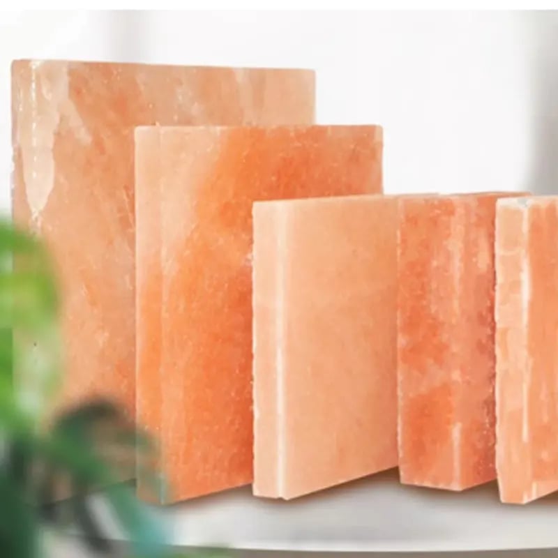 dry aging cabinet salt bricks