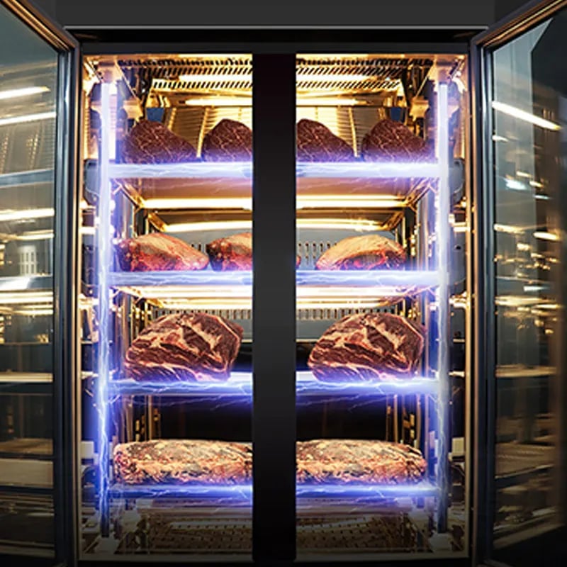 meat curing chambers with electric field