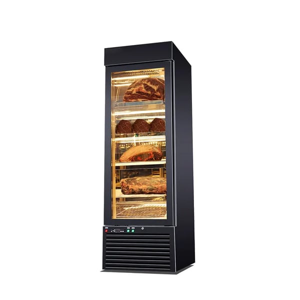 single door dry ageing fridge