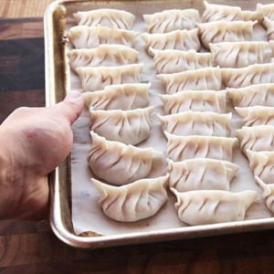 Dumplings to be placed in commercial blast chiller