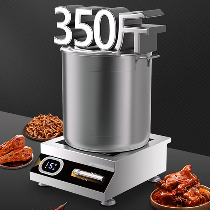 placa de inducción cocina profesional