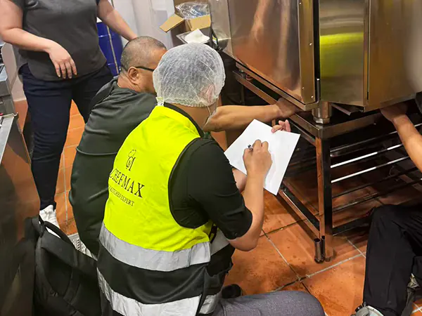 Automatic Rotating Electric Roast Duck Oven